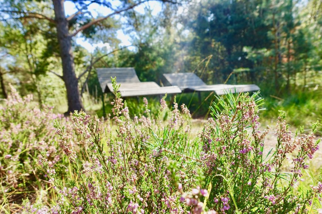 Tister Moor Chillstationen