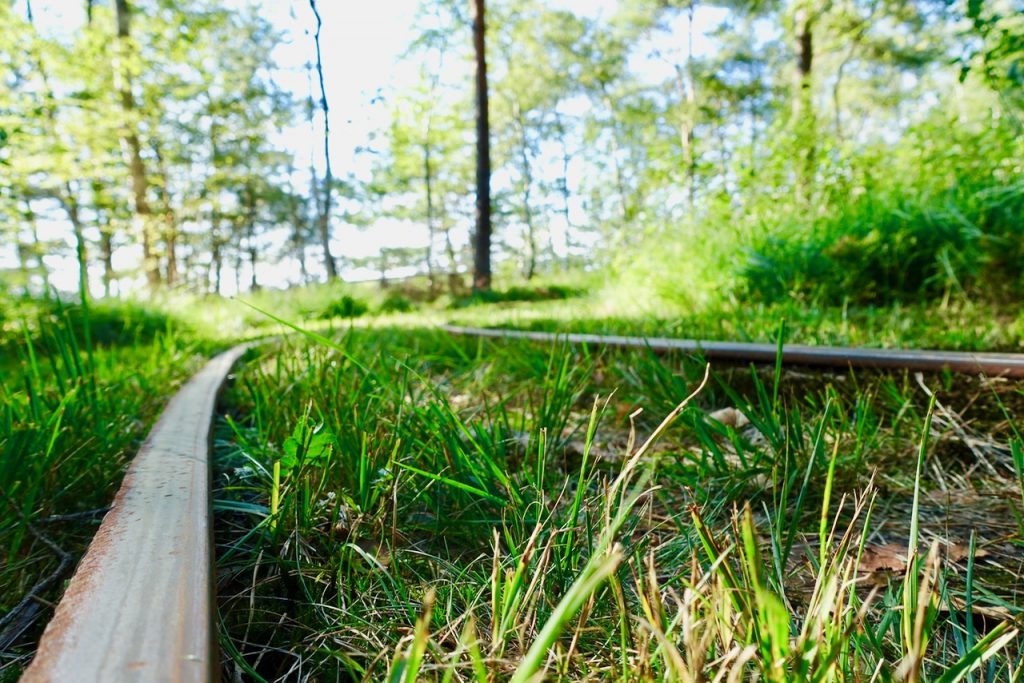 Schienen durch das Tister Moor