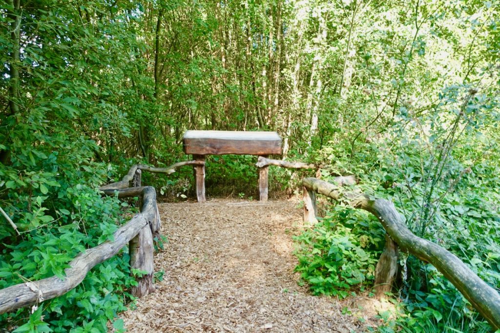 Entdeckerstationen im Tister Moor