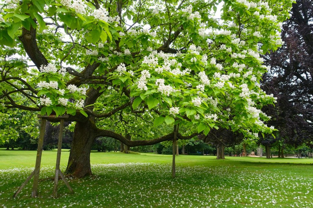 Coburg Geheimtipps Schlosspark
