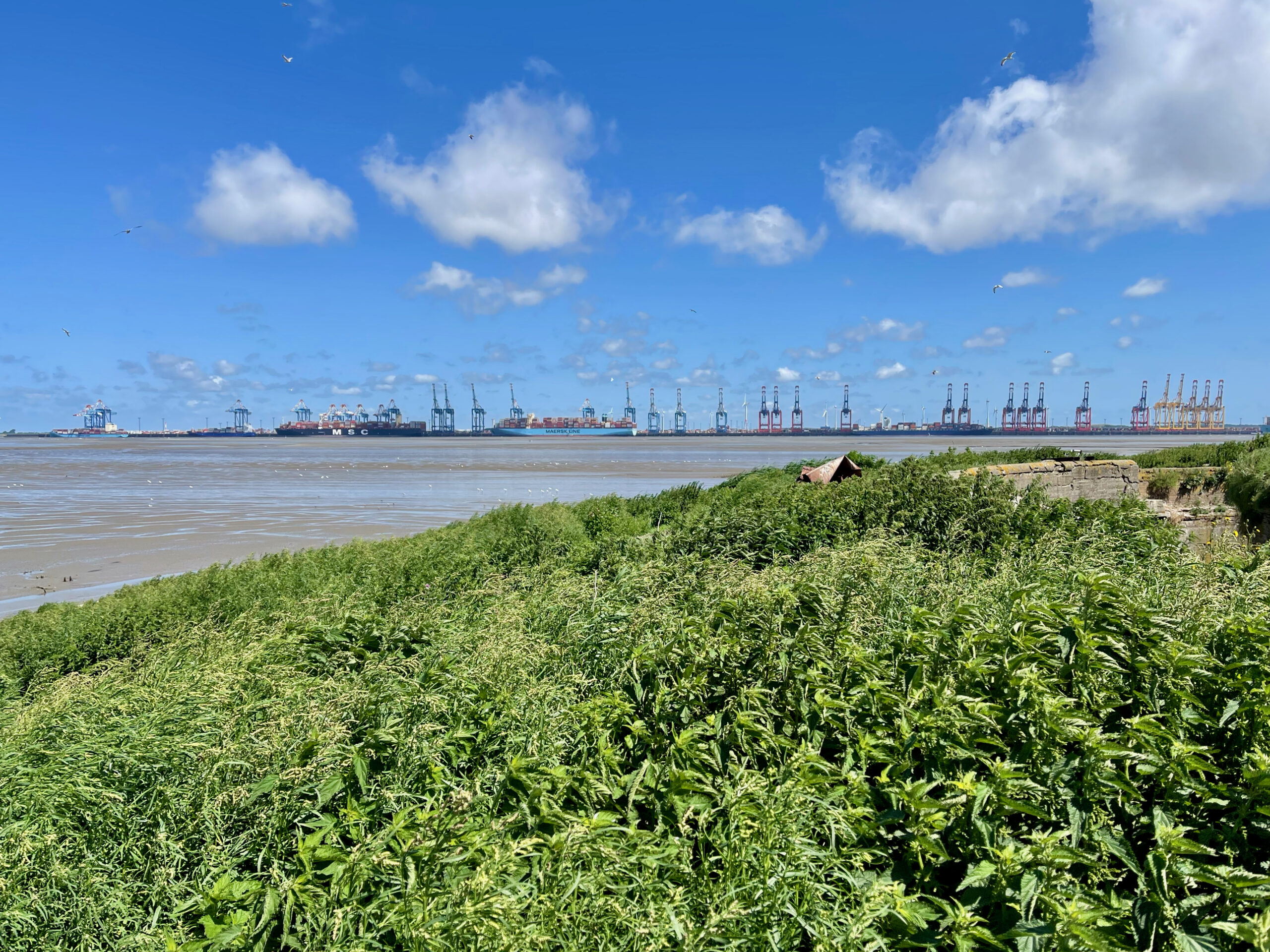 Wattwanderung Langlütjen II: Mikroabenteuer am Rande der Nordsee