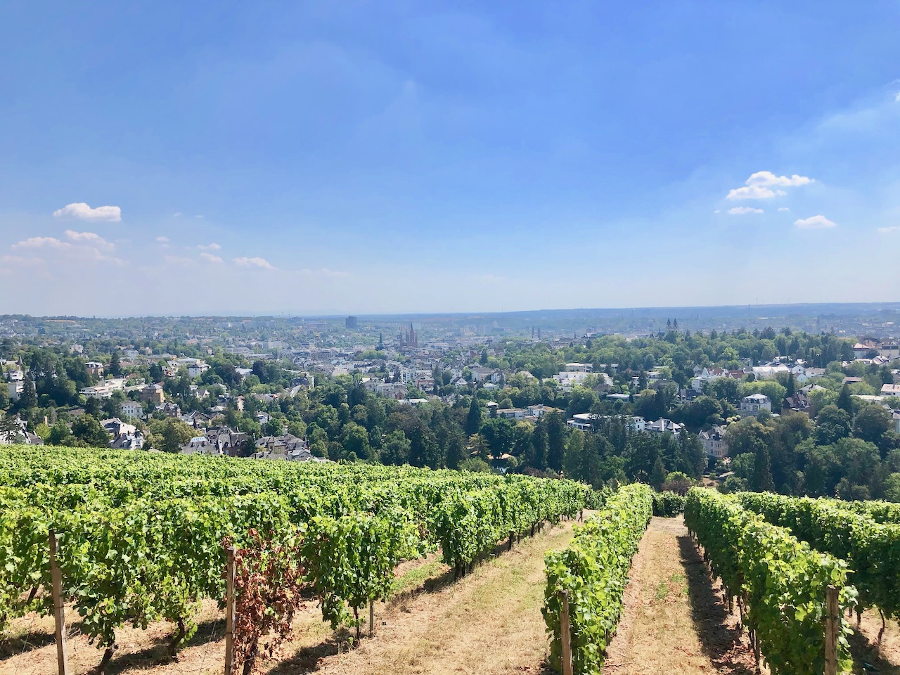 Eine Stadt voller Facetten: Wiesbaden Sehenswürdigkeiten, Wellness & Geheimtipps