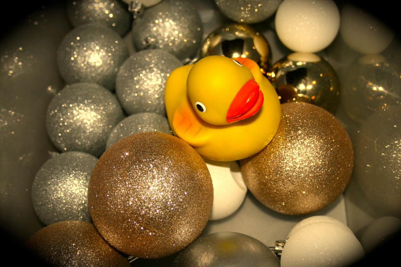 #4 Wellness-Adventskalender: SPAworld Fleesensee
