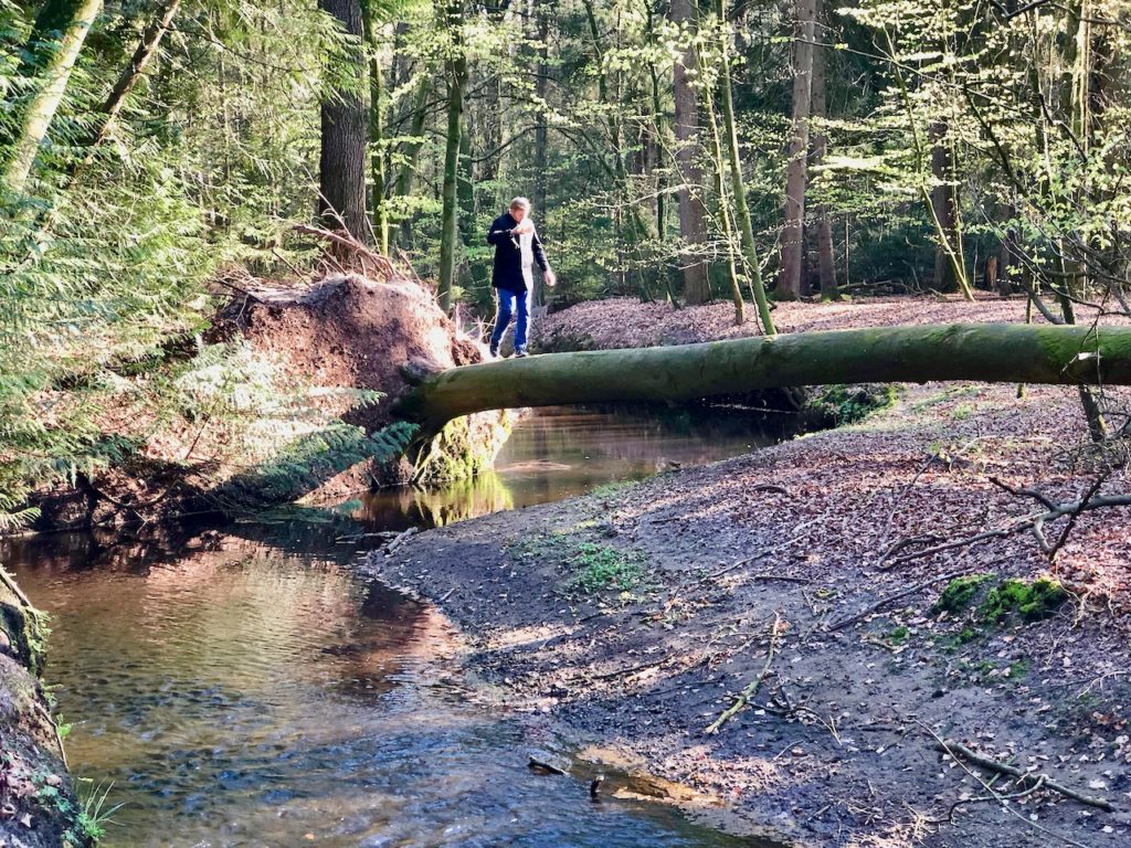 Frühling genießen mit allen Sinnen