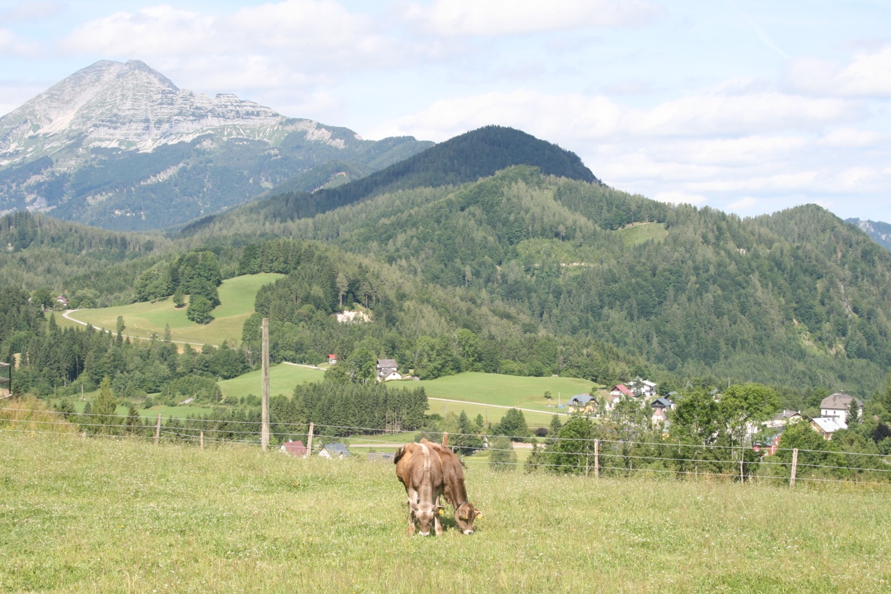 Mostviertel Österreich: Pilgern & (keine) Berge - das charmante Missverständnis