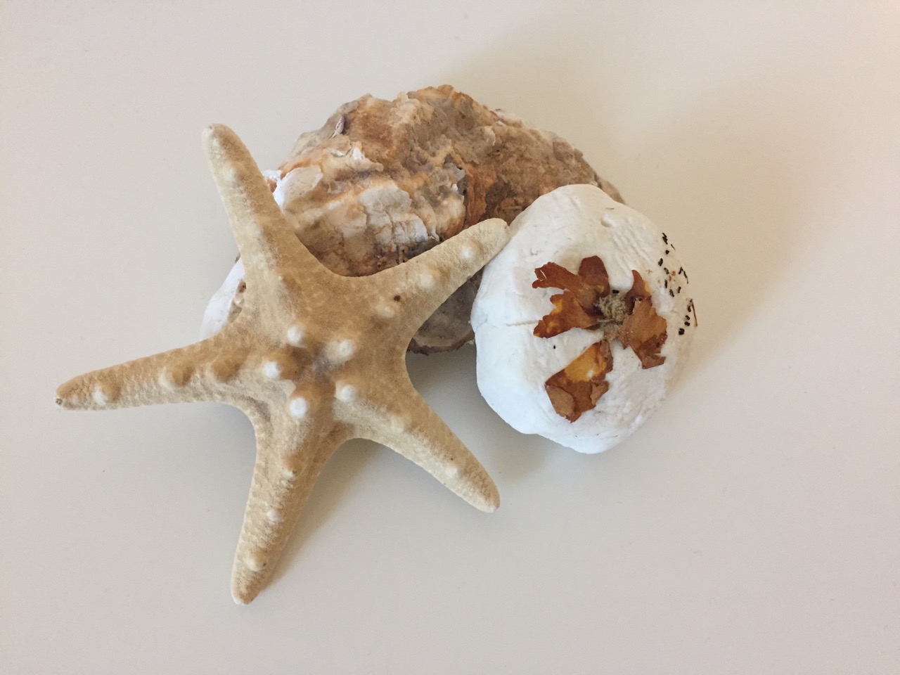 DIY Home Spa Produkte: Badekugeln selber machen