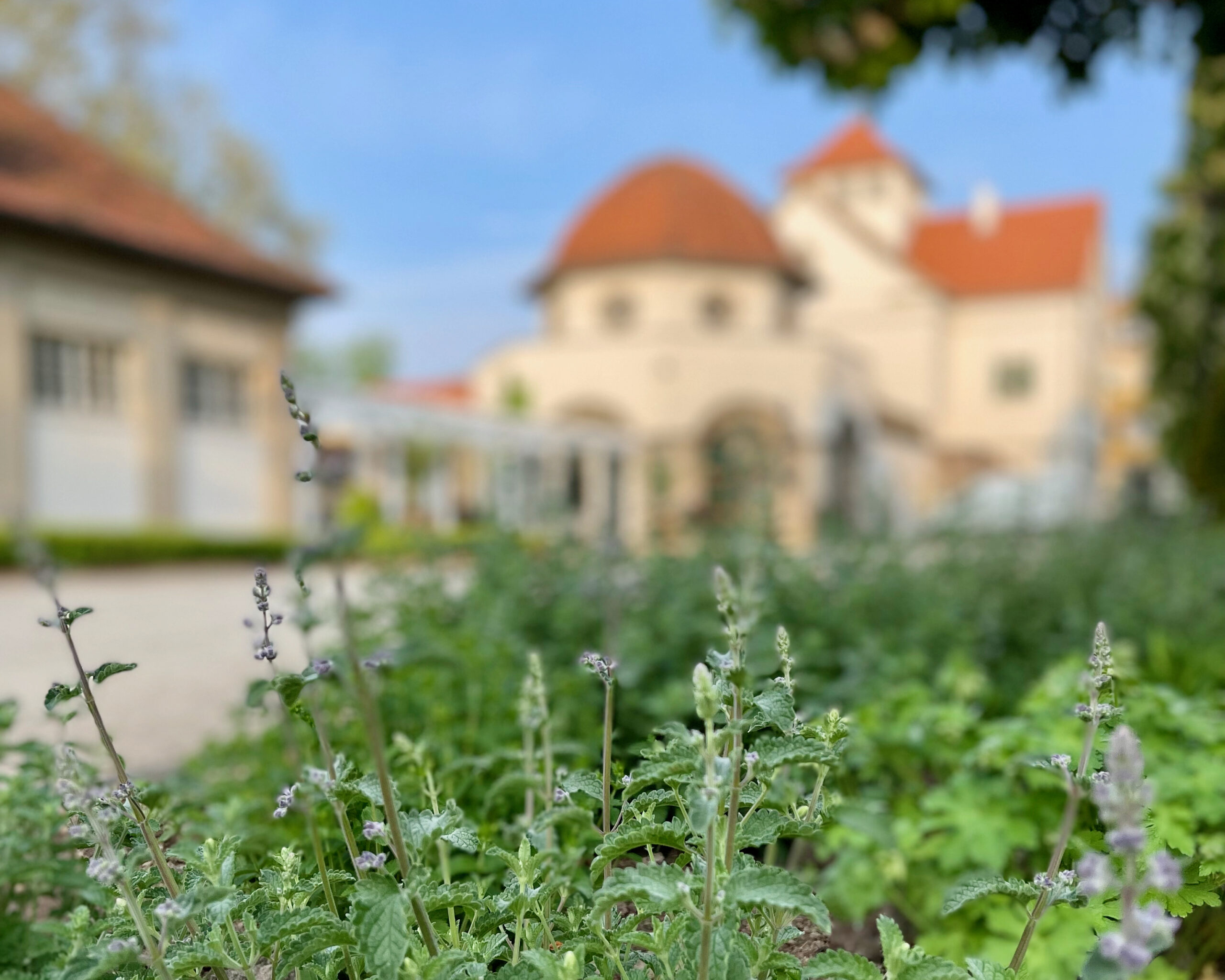 Bad Nauheim: Kur, Kneipp & Glücksmomente