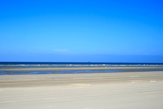 Thalassotherapie: Gesundheit und Wellness aus Meersalz, Algen, Schlick & Wasser