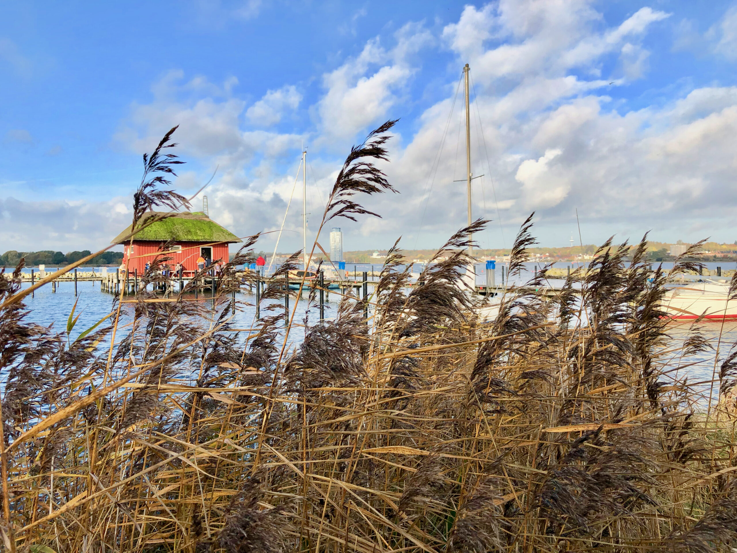 Binnenland Schleswig-Holstein: Mittendrin im entspannten Familien-Abenteuer